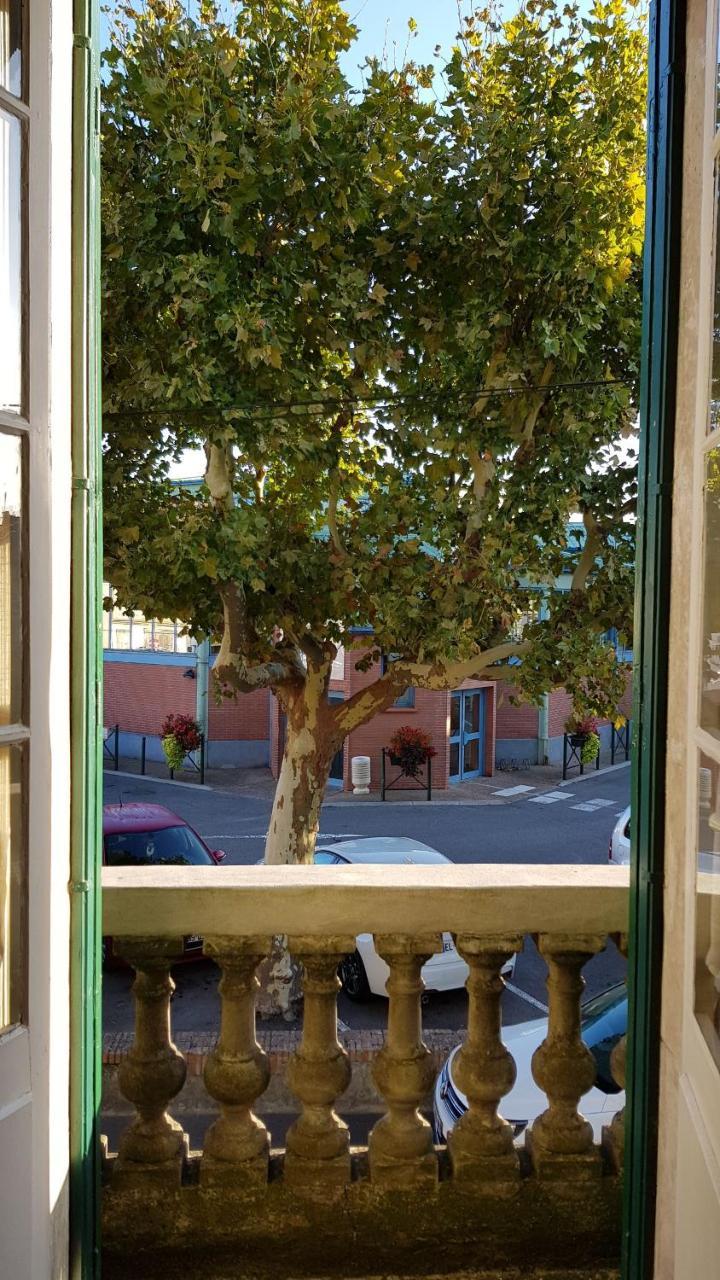 Maison De Maitre A Bram # Jacuzzi エクステリア 写真