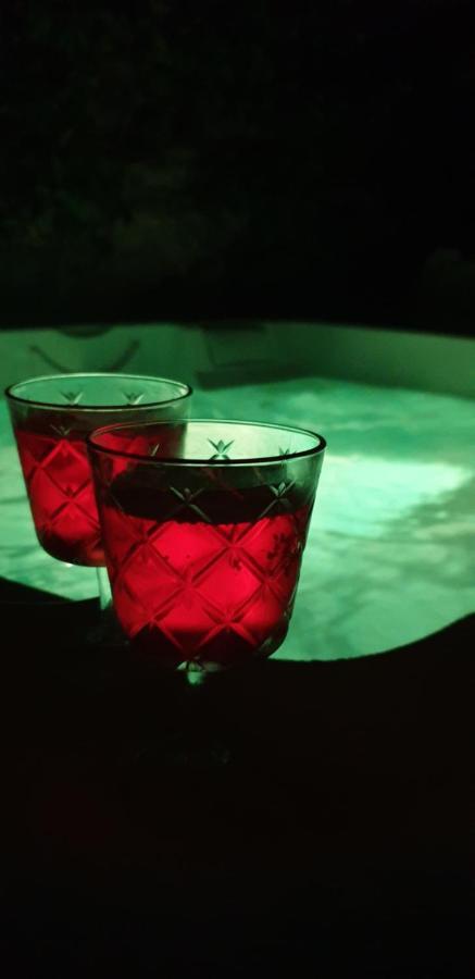 Maison De Maitre A Bram # Jacuzzi エクステリア 写真