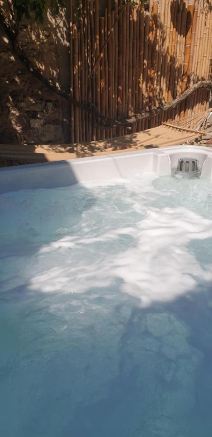 Maison De Maitre A Bram # Jacuzzi エクステリア 写真