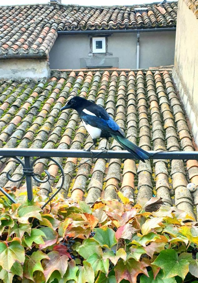 Maison De Maitre A Bram # Jacuzzi エクステリア 写真